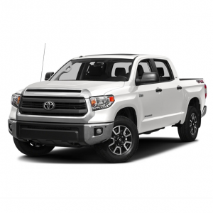 Category Tundra image